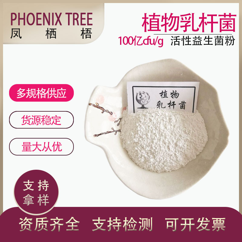 厂家冻干型乳酸菌活性益生菌粉乳杆菌冻干粉植物乳杆菌100亿cfu/g