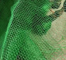 �ӹ��������Sֲ���Wɽ�;G���S�����W�|�o�����Sֲ�ݾW�ӵ�����