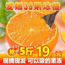 愛媛38號果凍橙四川新鮮橙子薄皮手剝甜橙當季孕婦水果批發橙血橙