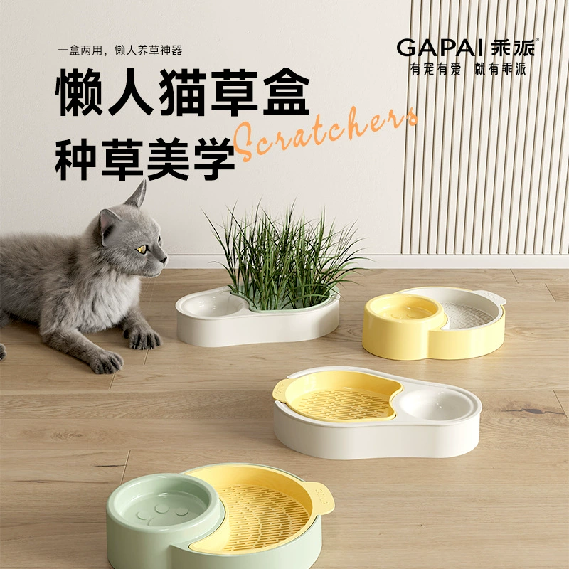 Кошачья трава горшечные беспочвенные семена для выращивания рассады