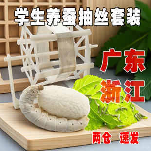 �Q�����W���B�Q���bɣ�~���r�Q�r����ֱ�l1�g234�gС���Q�Q���Q��