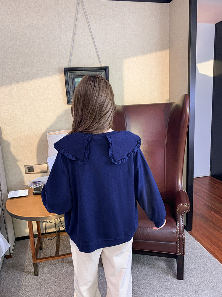 13_O1CN01QHJxcH1p4CISlswLo_!!8