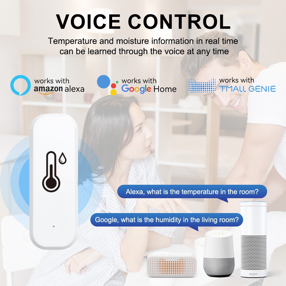 Temperature and Humidity Sensor Image 4