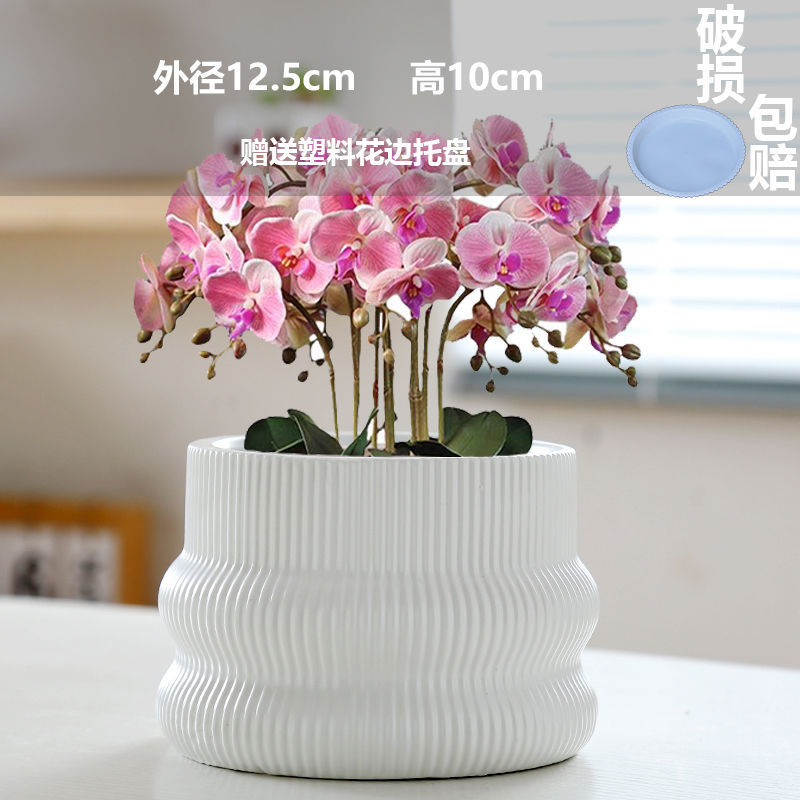 Medium crater matte white (comes with tray)