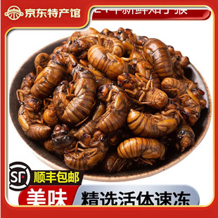 ��ůů�|��֪�˺���s�������s֪�����R��|���خa���s���w�ك�