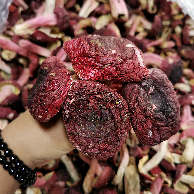 Dried Red Mushroom from Yunnan Specialty - Sweet Red Rice Mushroom, Factory Wholesale Blue Background True Red Mushroom