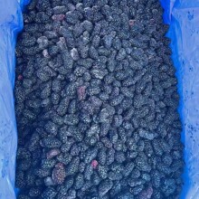 桑葚冻果 冷冻果蔬食品水果 奶茶店饮料果酒桑椹果批发1公斤