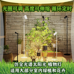 Highly Telescopic Multi-Band Imitation Sunlight Full Spectrum Indoor Household Timed Plant Fill-In Fish Tank Water Plant Lamp