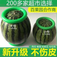 西瓜固定圈放西瓜圈水果店防滑垫塑料圈陈列摆放垫圈底座托圈篮球