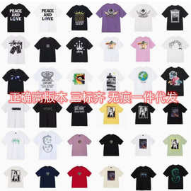 外贸做开的品质2025新款斯图西短袖T恤270g重磅高品质男女