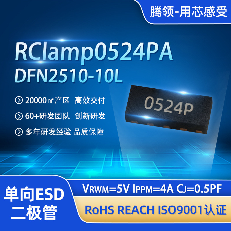 ESD静电保护二极管RClamp0524PA防静电管DFN2510-10L ESD二极管