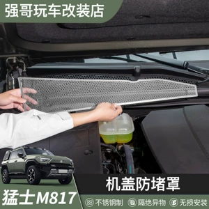 Dongfeng Mengshi M817 ön kapot hava girişi üçün həşərat əleyhinə tor