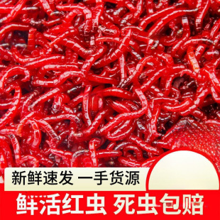 �r��t�x���D�ش�̖���xι�~�D���D��~�������a�~Ұ��D��