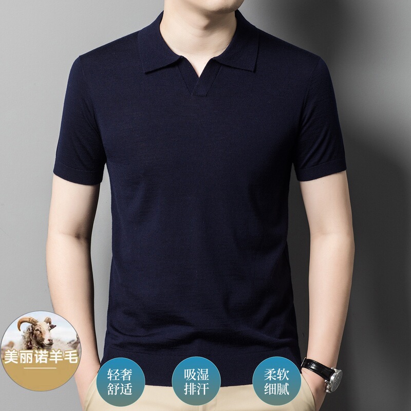 High-End Men's Woolen Sweater Short-Sleeved Worsted Superfine Merino Wool Polo Shirt Quality Men's Top T-Shirt