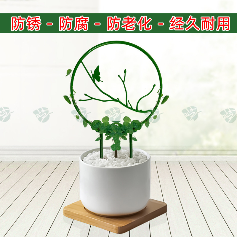 山のカメの緑は丸い花の棚の鉄線の蓮を植えて藤の棚に登ります。|undefined