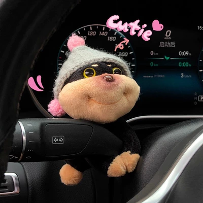for Women, Car ornaments