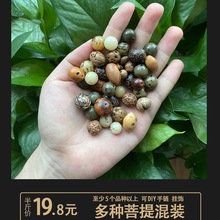 已打孔各类菩提子散珠 金刚凤眼龙眼木鱼果千眼菩提根手串念珠DIY
