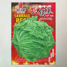 偰ײ˷N~o߮a＾A\~ײ߲˷N