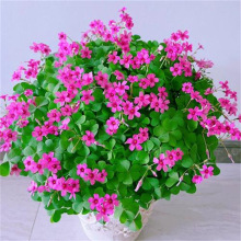 ~{ݷN\ݶϺɫm{ըuݷN