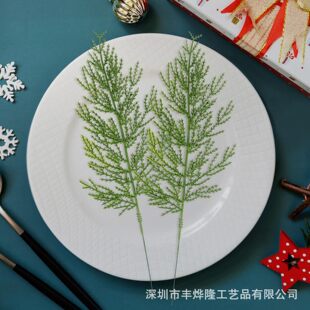�羳�}�Q�����ɰ�֦����Gֲ��β����~�Ҿ��}�Q��������h�b�Ʒ