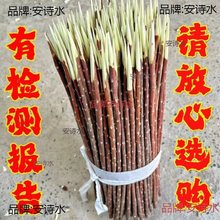 ½t⺞tľt֦t⴮30-50mm