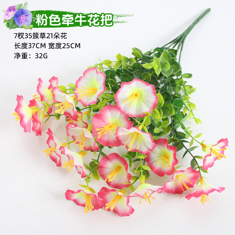 Ramo de campanillas rosas "Morning Glory"