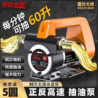 电动抽油泵12v24v通用220v柴油泵小型抽油神器正反全自动自吸式泵