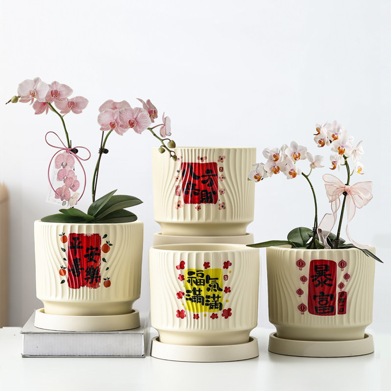 Ceramic Flower Pot with Tray for Home Use, Nordic Style Desktop Display, Suitable for Phalaenopsis, Money Tree, Green Plants, Festive Flower Pot Container