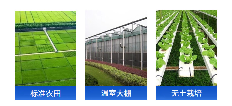 601c0de4ae9b4e04bc9848fece6f11