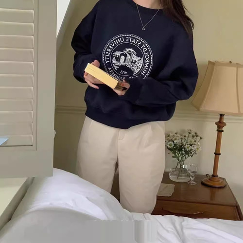 Korean version of oversize round neck sweatshirt for women early autumn new velvet niche design loose long-sleeved top