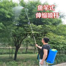 ���F�����L��s���U���L��ș��ș�U��ؓʽ�r�Ç��F������S��ֱ�N