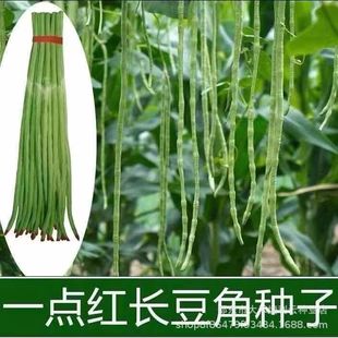 ������һ�c�t���ǷN�����L�ļ����ﶬ�����������N�Ѵ�ȫ�߲���