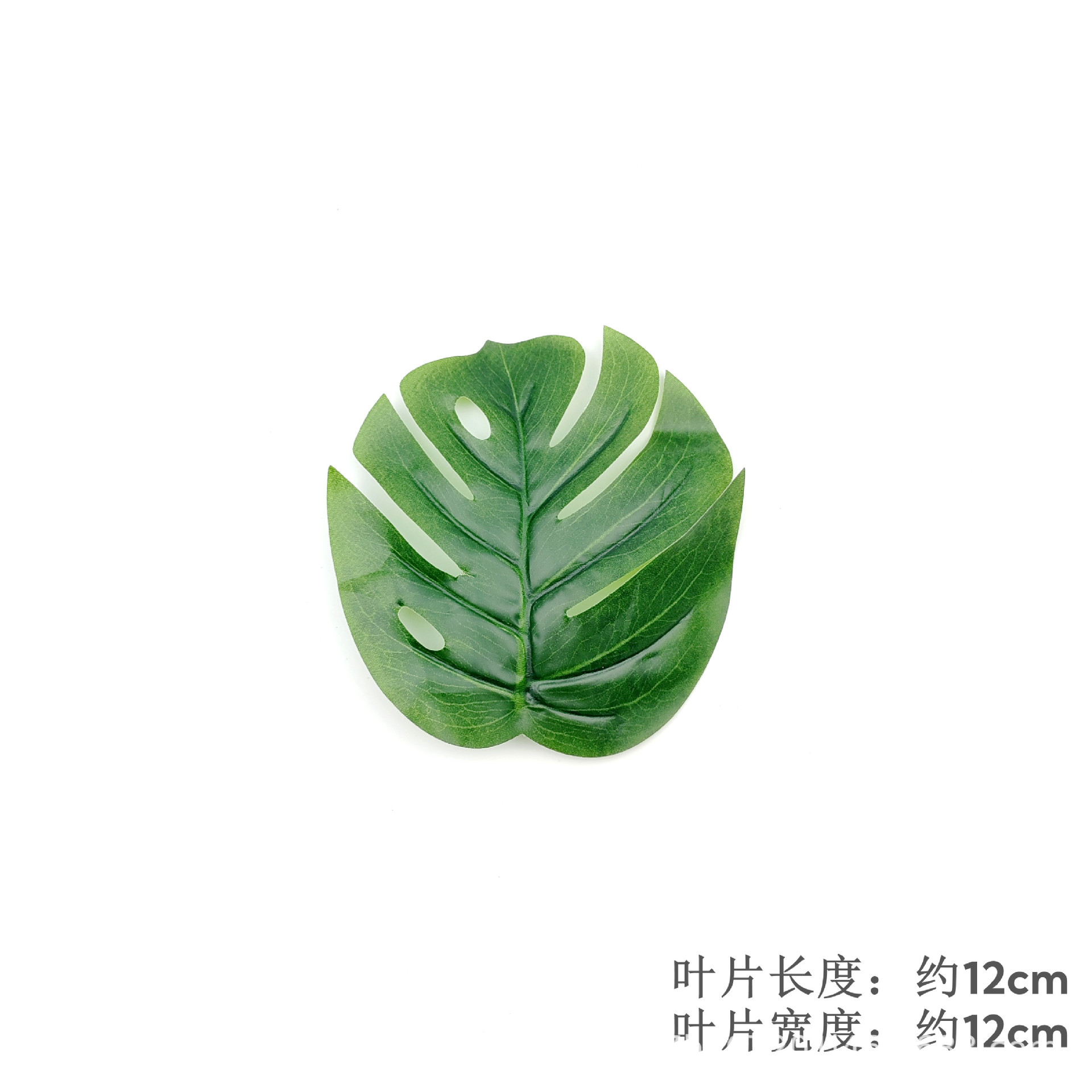 Monstera Leaf - Style 2