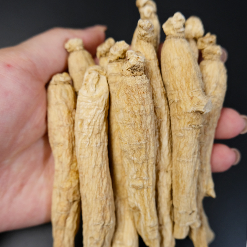 Dried American Ginseng Root Segments from Changbai Mountain for Decoction Soup and Wine Soaking specifications