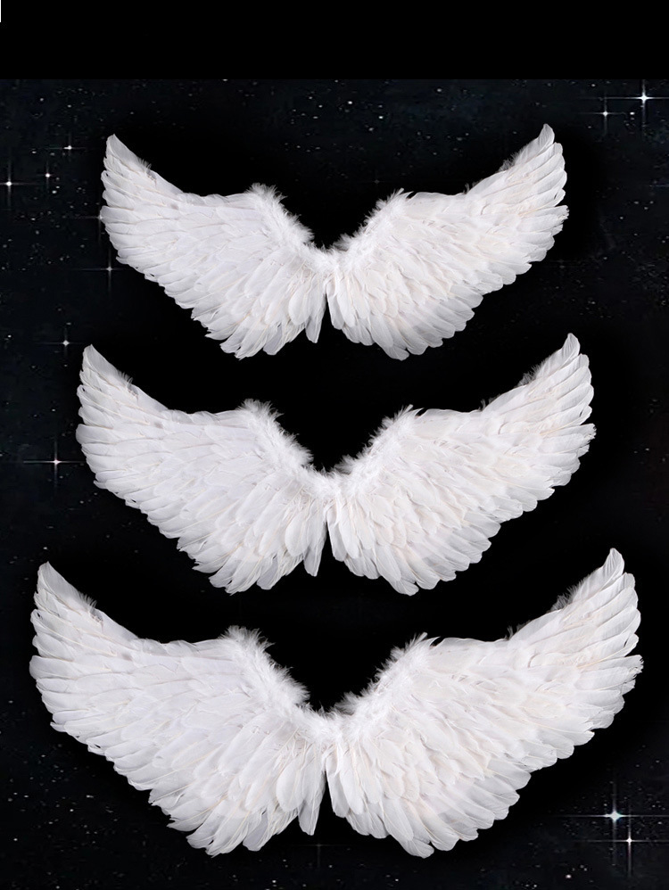 白色天使翅膀_10