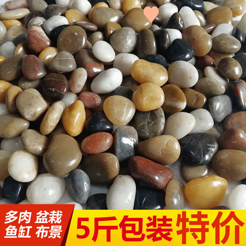 庭院鹅软石彩色石头5斤鹅卵石造景天然小石子原石鱼缸花盆雨花石