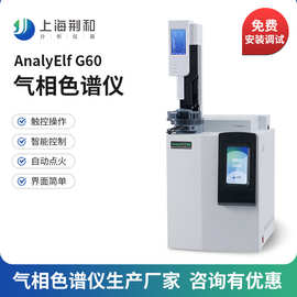 荆和 AnalyElf-G60气相色谱仪生产厂家 国产气相色谱仪色谱仪供应