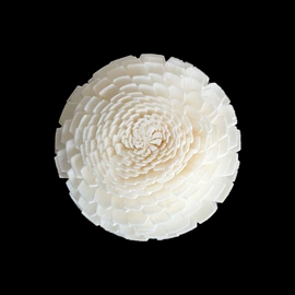 干花;鲜花花艺制品;其他小宠用品