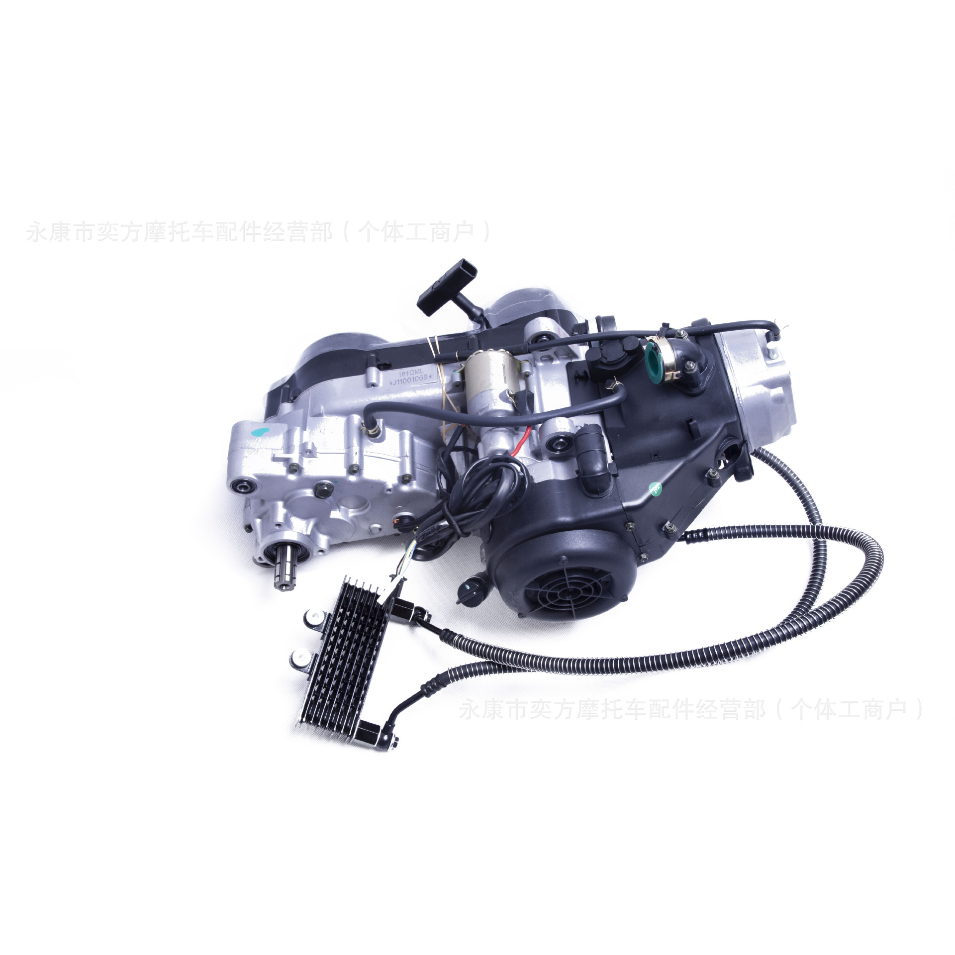 Gy6 Jinlang Engine 161/163-200Cc Built-In Reverse Gear Chain Drive Air-Cooled Oil-Cooled Balance Shaft Engine