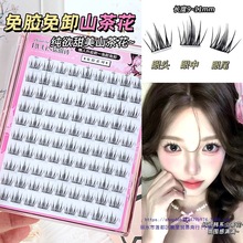 zٽëɽ軨5냺½ëȻzˮ۽ëN