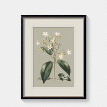 ˽���� ���s��ʽ�L�񻨻��b�\�W��ԭ��͹�ֲ��͏d���ҽM�Ϯ�