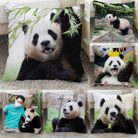 福宝2024新款新图抱枕图片diy制作办公室午睡靠垫腰垫