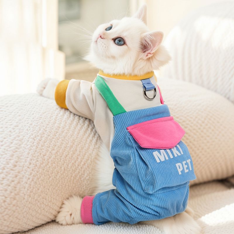 猫咪衣服四脚护肚背带裤2025新款宠物布偶德文英短银渐层小猫服装