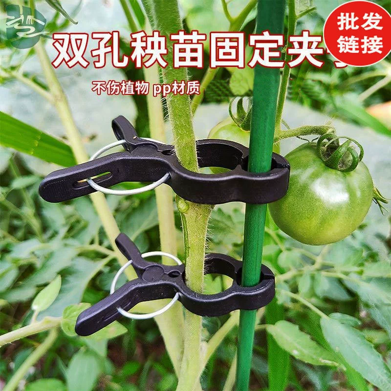 Фиксированный зажим огурец помидор фиксированный зажим Баклажан Перец фиксированный зажим опорный зажим диаметр стержня растения фиксированный