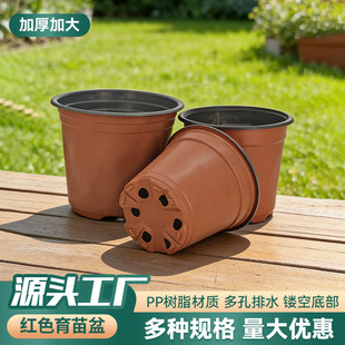 �������pɫ���طNֲ����pe�Ӻ�I�B���tɫ���ϻ���F؛���⻨��