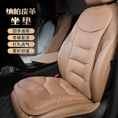 Back Cushion — Seat cushion, seat cover