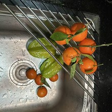 �S��ֱ�� �ۯB������ˮ������� �rˮ�� ���� ���d�Vˮ�ܞrˮ��