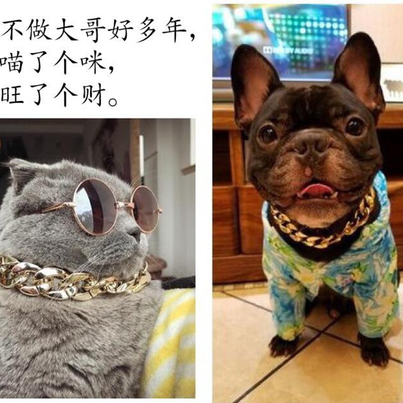 10148126798_1821549014