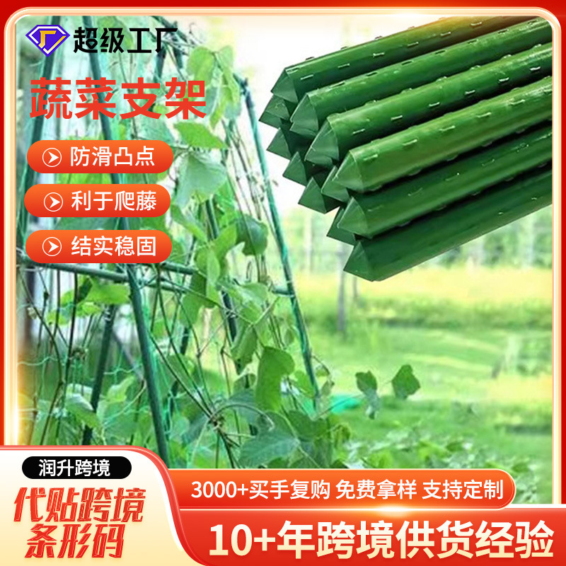 植物支撑架藤蔓杆黄瓜番茄爬藤支撑杆菜园盆栽蔬菜搭架杆花卉支架|undefined