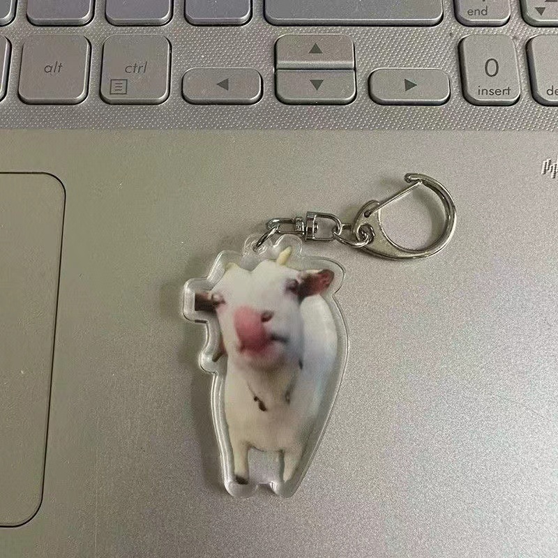 아크릴 키 체인 새로운 귀여운 고양이 밈 키 체인 우는 고양이 키 체인 잘못된 고양이 펜던트 키